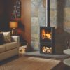 Stovax & Gazco View 5T wood burning stove with optional midline base